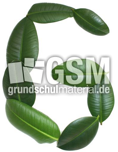 G-wie-Gummibaum.jpg